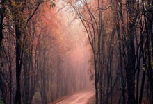 吉林男篮艰难摆脱低迷，展示复苏劲头