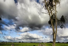 土耳其队获得重要胜利，成功晋级欧锦赛决赛