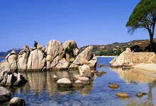 委内瑞拉足球队请教名宿传授经验